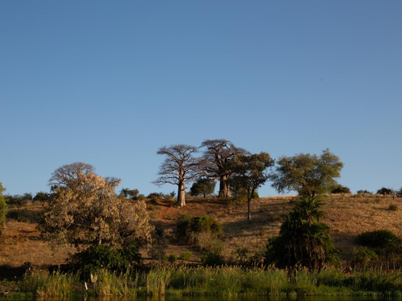 Kayova River Lodge Ndiyona ภายนอก รูปภาพ